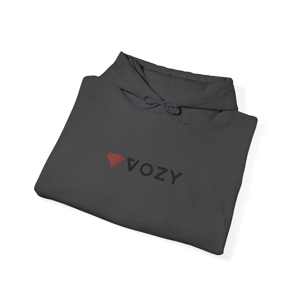 New Vozy Vibrant Graphic Unisex Hooded Sweatshirt - Perfect for Every Casual Occasion, Gift for Friends, Streetwear, Cozy Lounge.